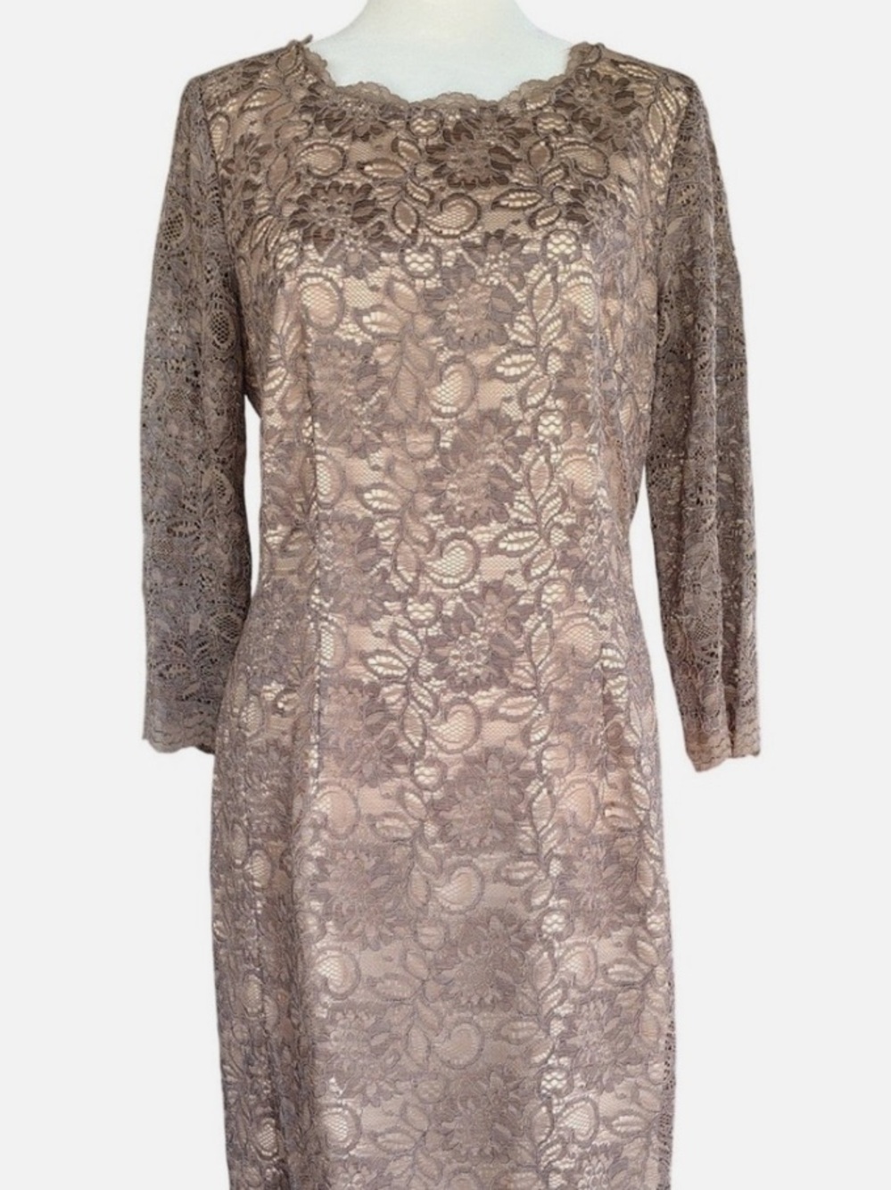 Alex Marie Taupe Lace Sheath special occasion Dress. Fully liked. Like new. 10.